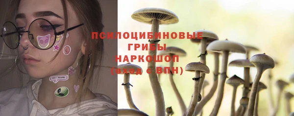 эйфоретик Армянск