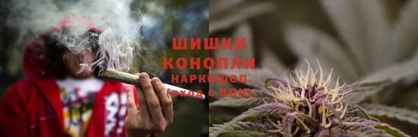 тгк Аркадак