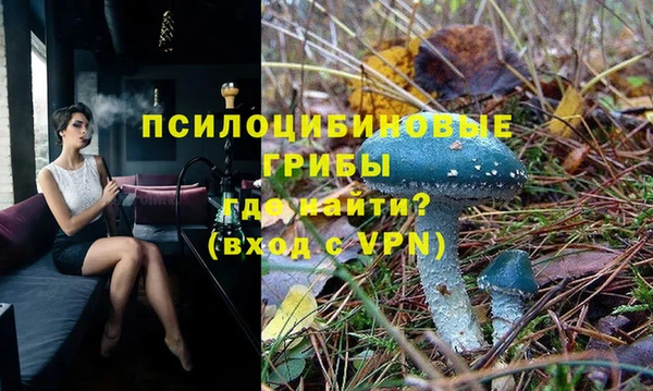 spice Ростов