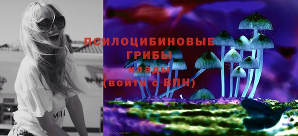 эйфоретик Армянск