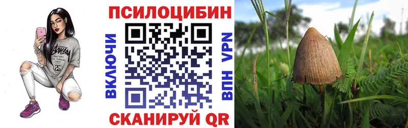 Псилоцибиновые грибы Psilocybine cubensis  наркошоп  маркетплейс какой сайт  Сусуман 